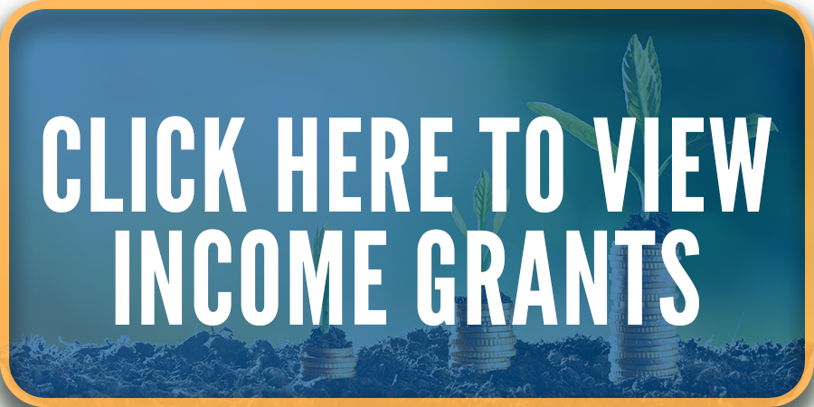 Income Button to go to Income Grants Page