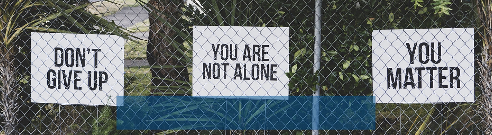 Photo by <a href="https://unsplash.com/@dmey503?utm_source=unsplash&utm_medium=referral&utm_content=creditCopyText">Dan Meyers</a> on <a href="https://unsplash.com/s/photos/mental-health?utm_source=unsplash&utm_medium=referral&utm_content=creditCopyText">Unsplash</a>   