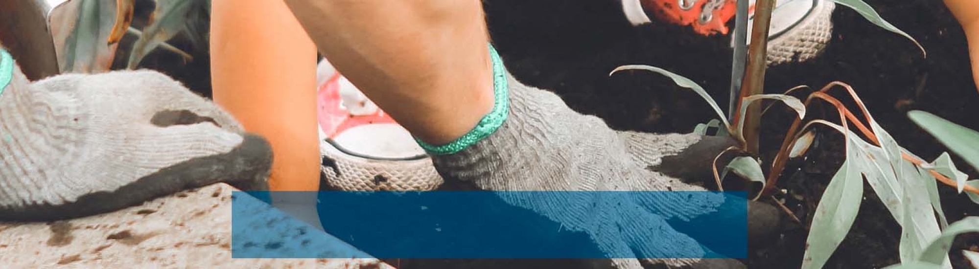 Photo by <a href="https://unsplash.com/@annaelizaearl?utm_source=unsplash&utm_medium=referral&utm_content=creditCopyText">Anna Earl</a> on <a href="https://unsplash.com/s/photos/volunteer?utm_source=unsplash&utm_medium=referral&utm_content=creditCopyText">Unsplash</a>   